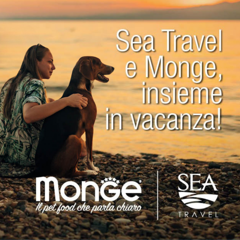 Sea Travel & Monge 2025