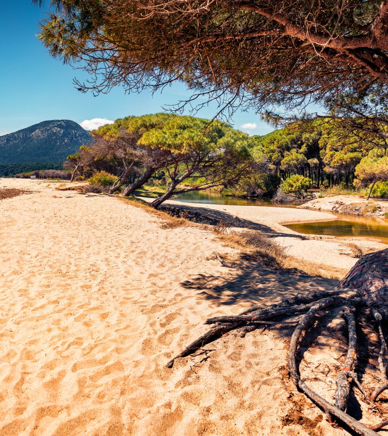 Orosei Sea Travel Sardegna