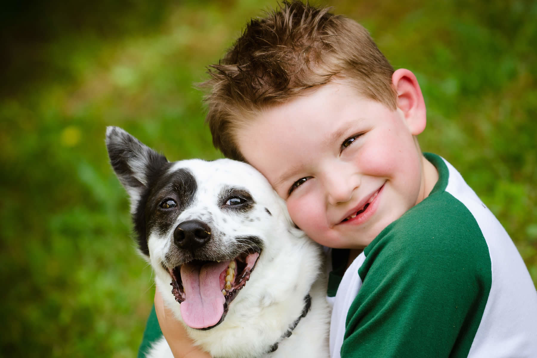 Радостные домашние животные. Животные. Для детей. Маленькая девочка с кроликом. Домашние животные и человек.